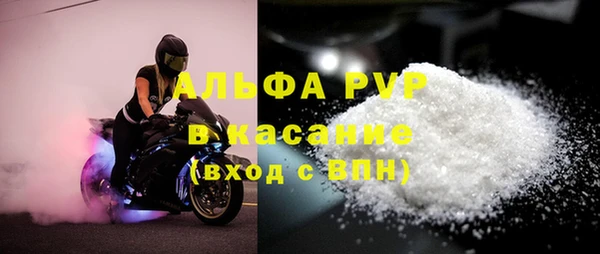 винт Алзамай