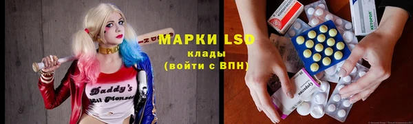 винт Алзамай