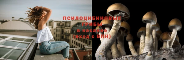 винт Алзамай
