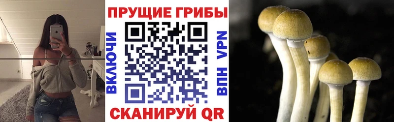 Галлюциногенные грибы мухоморы  Нытва 